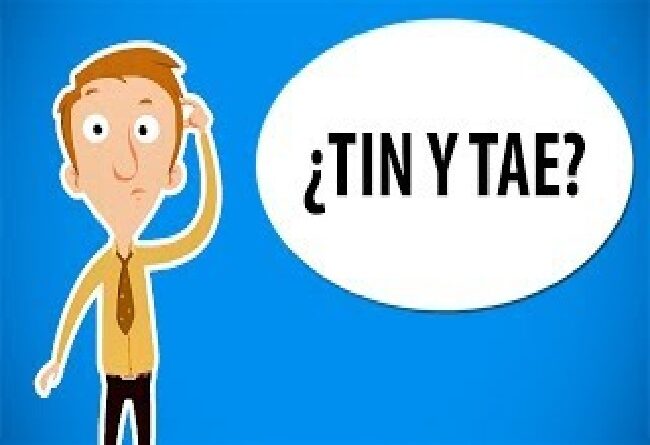 Diferencia entre TIN y TAE