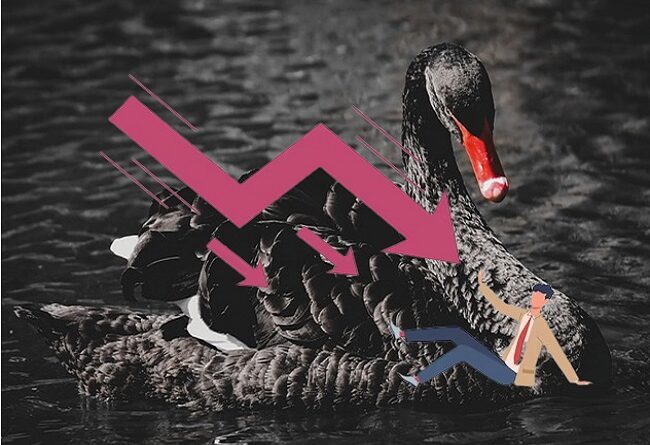 Qué es un cisne negro y cómo afecta a la economía