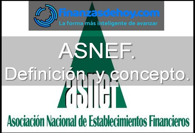 ASNEF qué es definición concepto