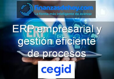 ERP empresarial y gestión eficiente de proceso